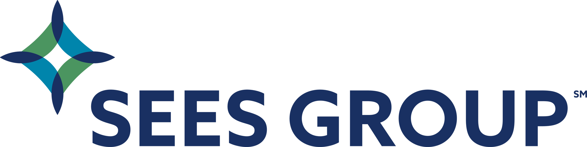 SEES Group Logo_Main_3c_rgb_SM
