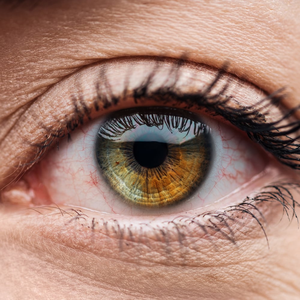 cornea treatment southeast eye specialist visionamerica