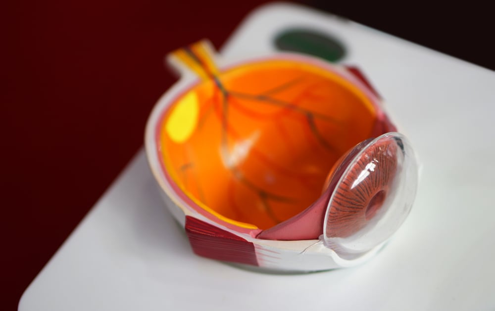 Retinal scan showing macular degeneration affecting central vision