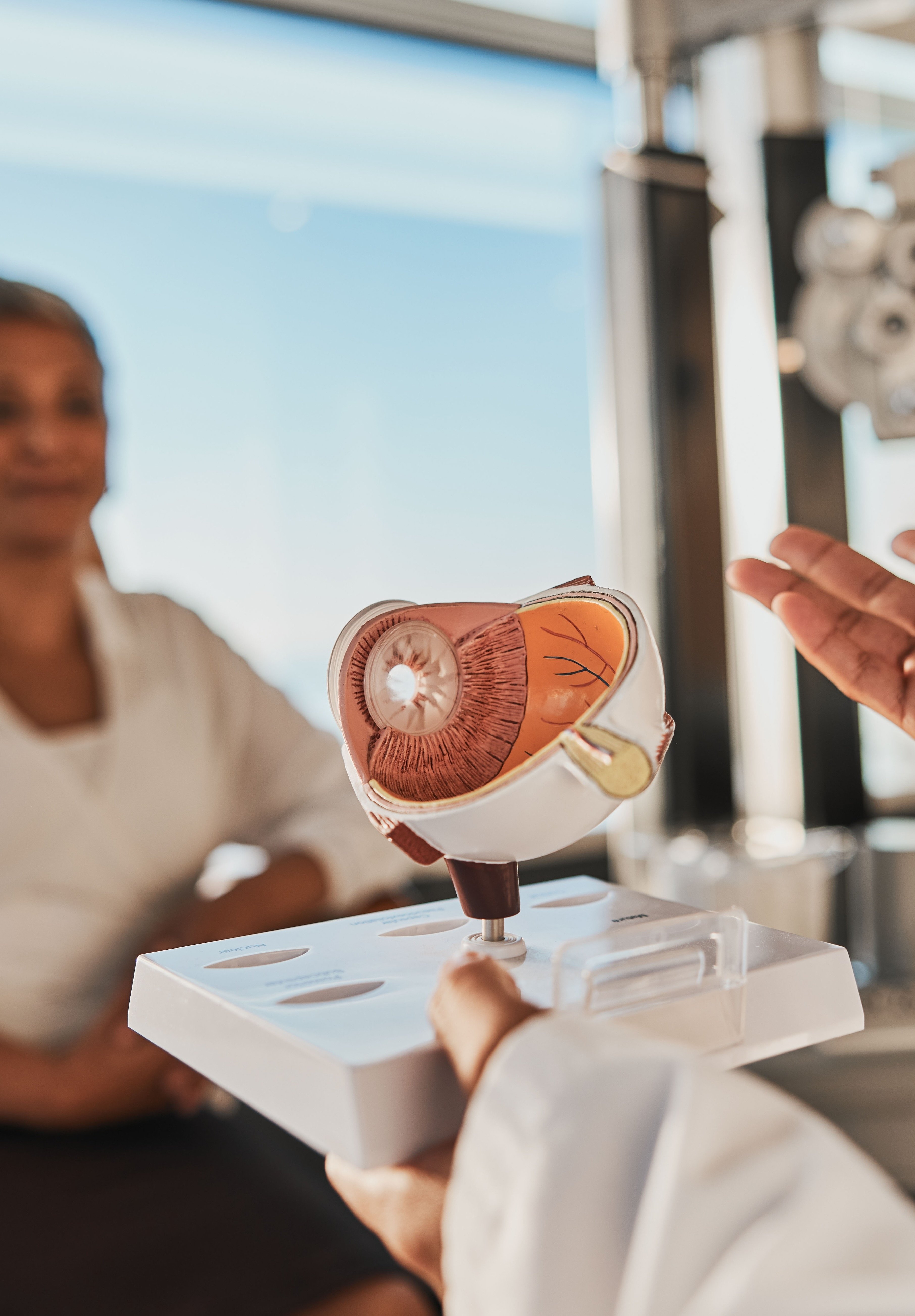 shutterstock_2265239465