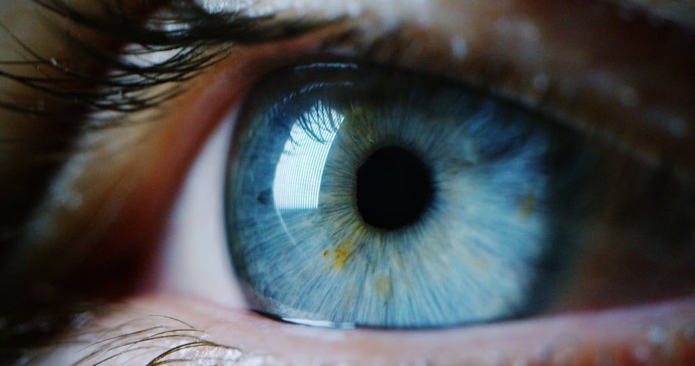 Advanced diagnostic testing for visual field loss and neurological eye conditions